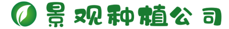 www.itl666.com